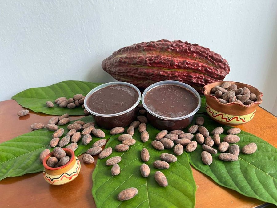 AgroCacao